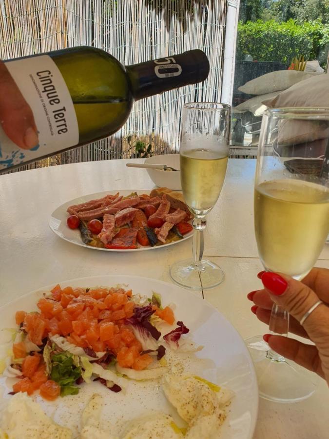 Domusauroom, Relax Nel Cuore Della Versilia - Pet Friendly