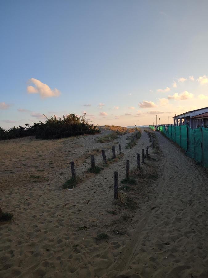 Domusauroom, Relax Nel Cuore Della Versilia - Pet Friendly * Viareggio