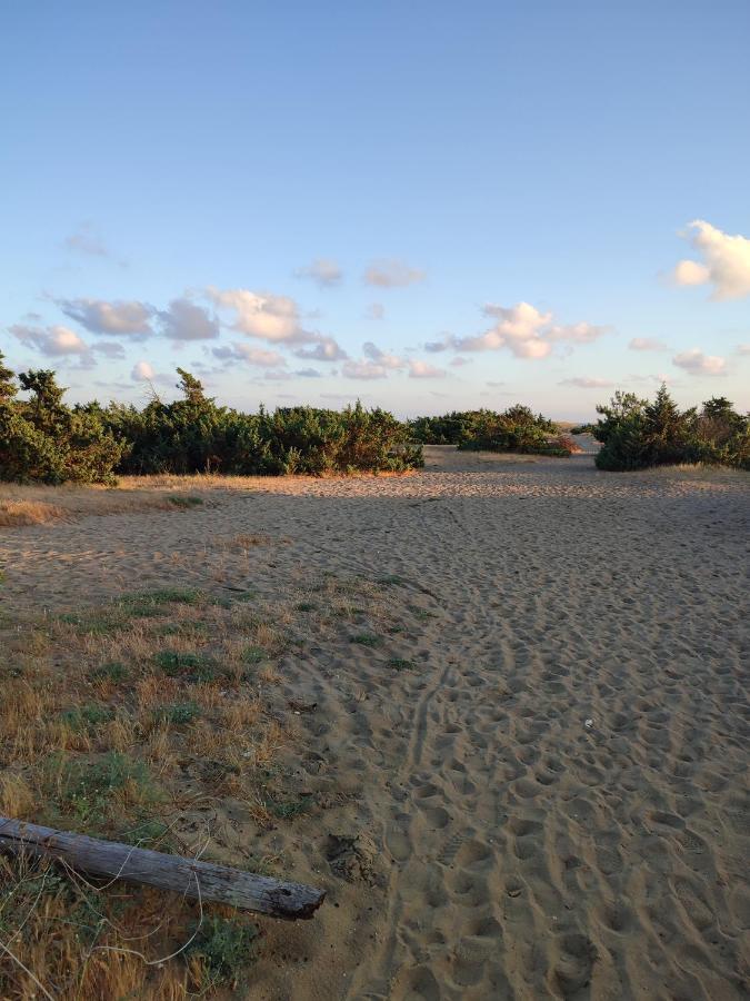 Apartment Domusauroom, Relax Nel Cuore Della Versilia - Pet Friendly