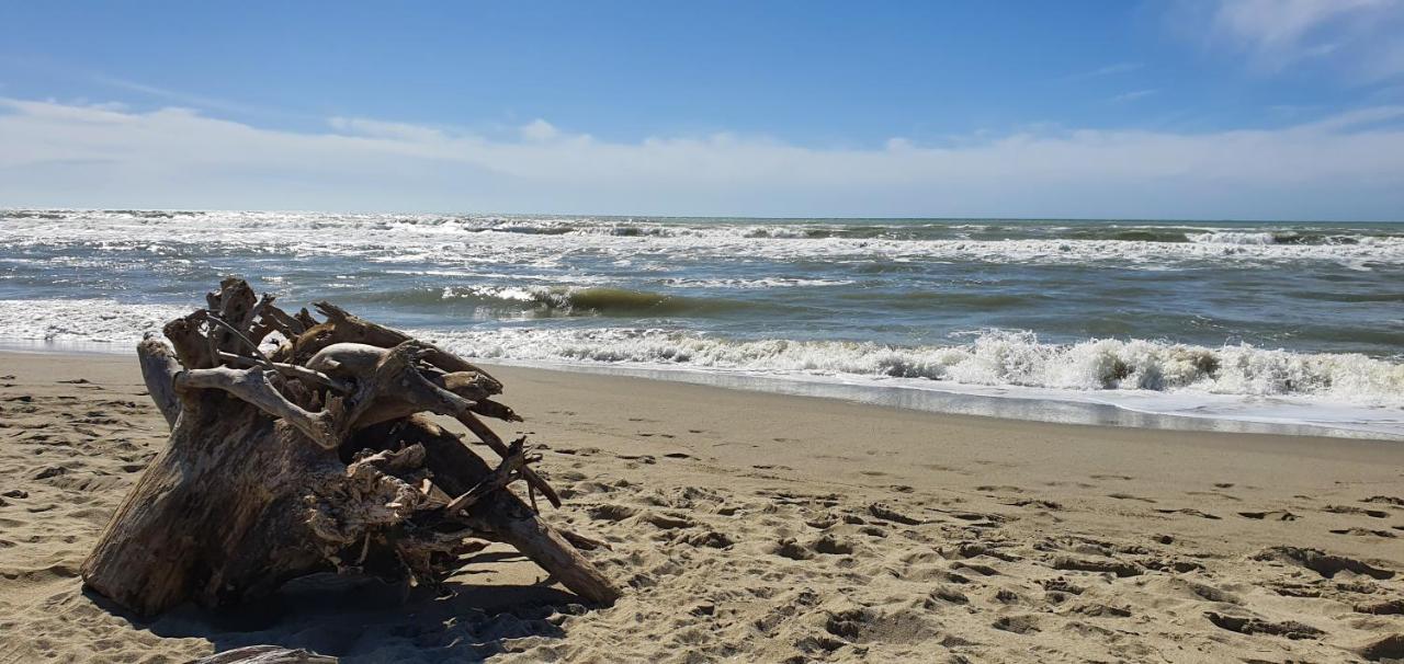 Apartment Domusauroom, Relax Nel Cuore Della Versilia - Pet Friendly Viareggio