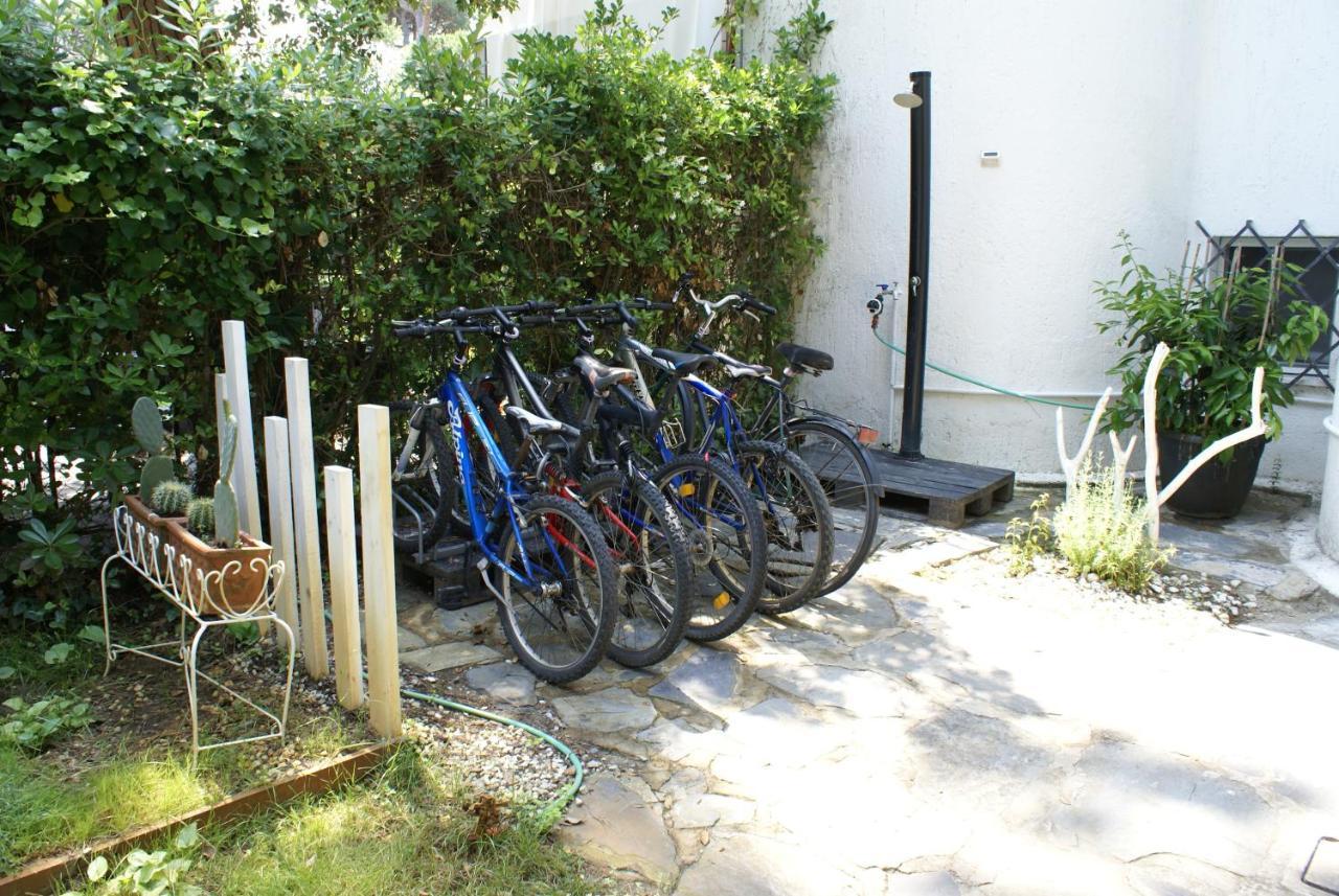 Apartment Domusauroom, Relax Nel Cuore Della Versilia - Pet Friendly