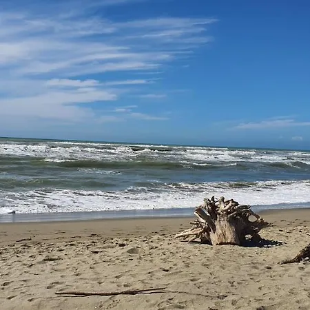 Domusauroom, Relax Nel Cuore Della Versilia - Pet Friendly Viareggio Exterior foto