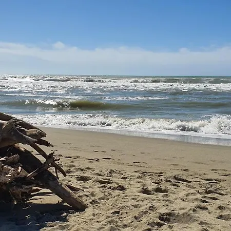 Domusauroom, Relax Nel Cuore Della Versilia - Pet Friendly Viareggio Exterior foto
