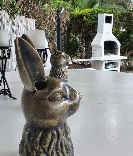 Domusauroom, Relax Nel Cuore Della Versilia - Pet Friendly