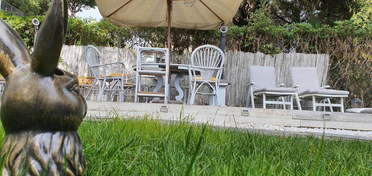 Domusauroom, Relax Nel Cuore Della Versilia - Pet Friendly Viareggio