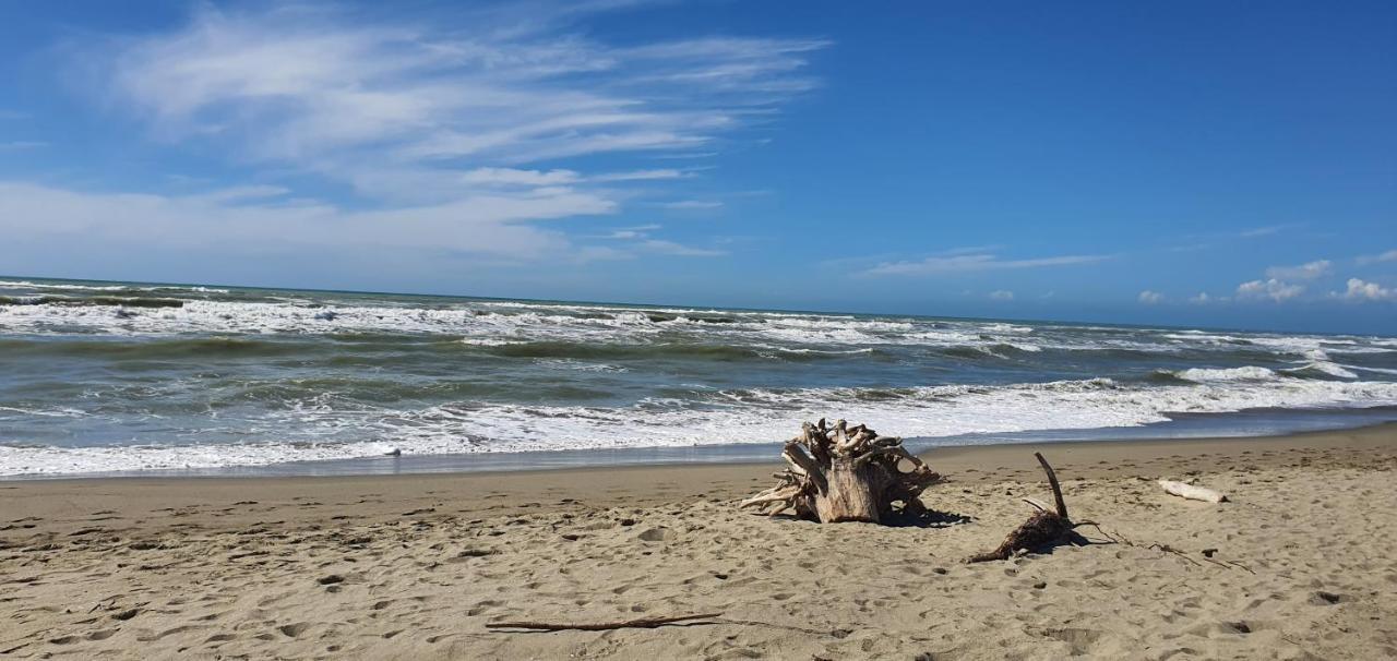 Domusauroom, Relax Nel Cuore Della Versilia - Pet Friendly Apartamento *